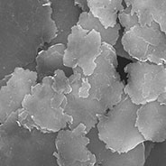 固態(tài)電池材料