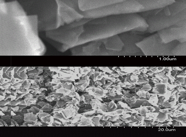 高比表面積石墨烯納米粉體8nm